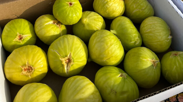 القص و التوصيل في نفس اليوم