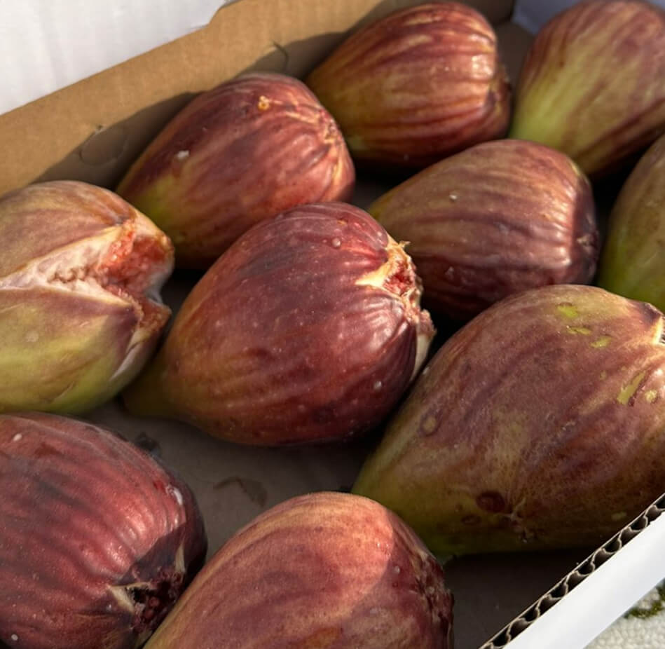 منتجات مختارة بعناية